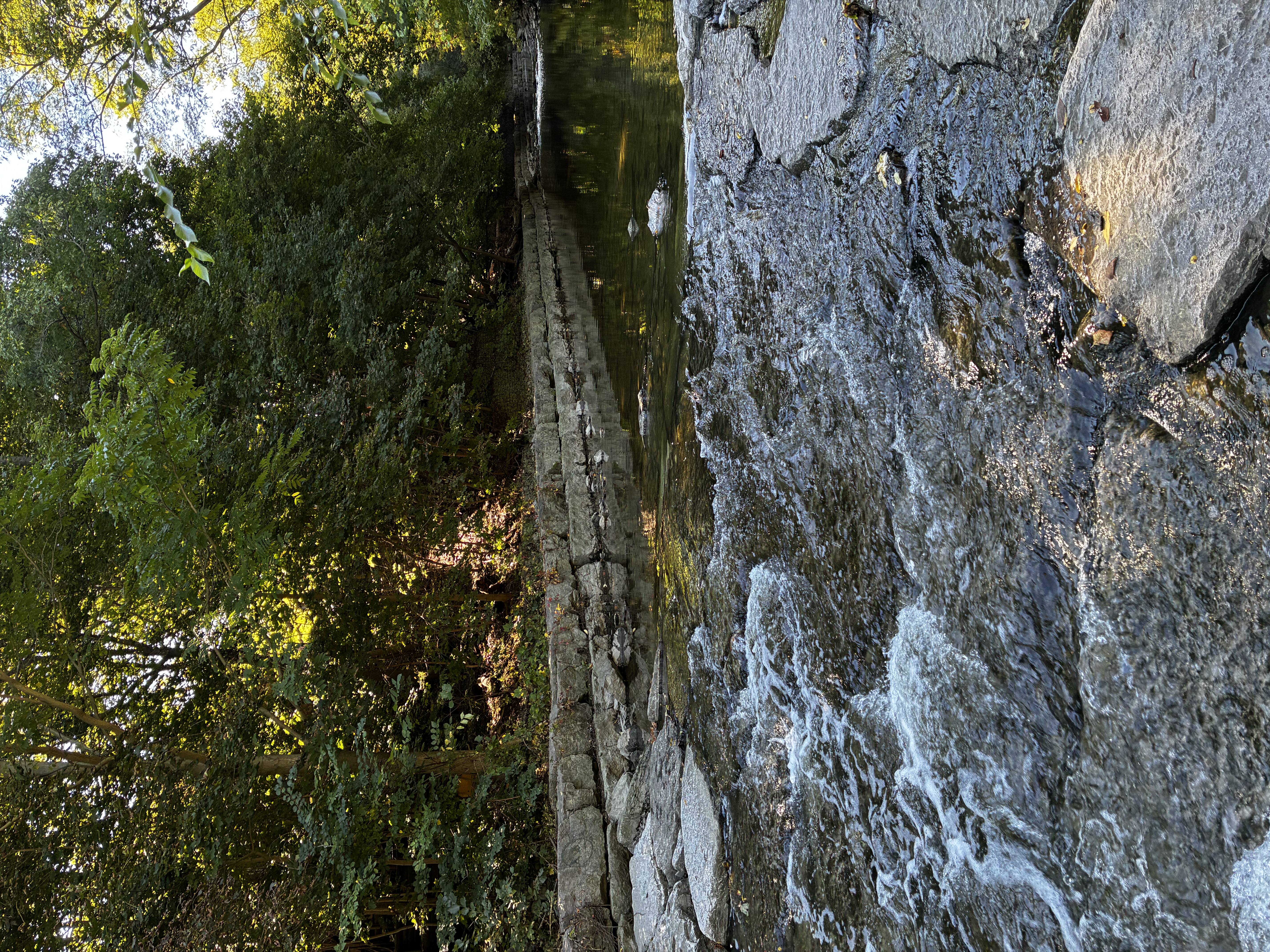 Course Thumbnail